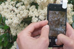 Online training fotograferen met mobiel